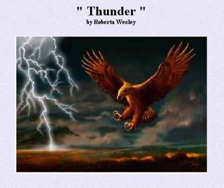 Aigle sous l'orage